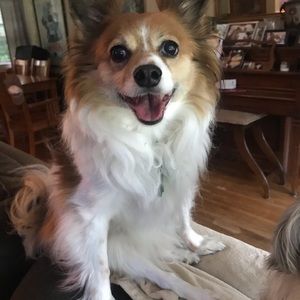 Meet your Posher, Jen